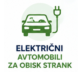 Električni avtomobili