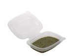 POSODICE za hrano, 125 ml, plastika PET, 50 kos/pak