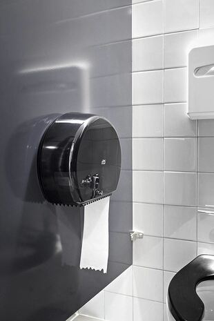 Dozer za mini jumbo toaletni papir je najbolj primeren za male ali srednje velike sanitarije z velikim številom obiskovalcev, na primer šole.